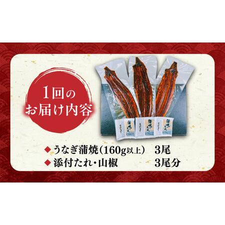 ふるさと納税 【全3回定期便】福岡県産 うなぎ 蒲焼 大3尾 合計 480 g（1尾あたり 160g以上）[VAD014] 国産 うなぎ 福岡県豊前市_4