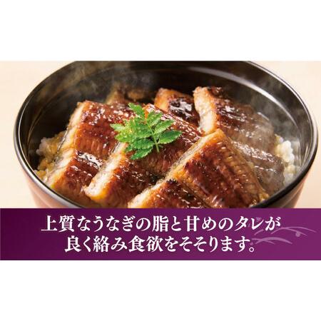 ふるさと納税 【全6回定期便】福岡県産 うなぎ 蒲焼 大3尾 合計 480 g（1尾あたり 160g以上）[VAD015] 国産 うなぎ 福岡県豊前市_2