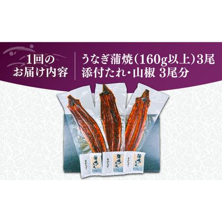 ふるさと納税 【全6回定期便】福岡県産 うなぎ 蒲焼 大3尾 合計 480 g（1尾あたり 160g以上）[VAD015] 国産 うなぎ 福岡県豊前市_4
