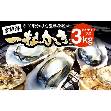 ふるさと納税 [2026年1月中旬以降順次発送][先行予約]豊前海一粒かき 3kg [豊前市][豊築漁業協同組合][VAG007] 福岡県豊前市