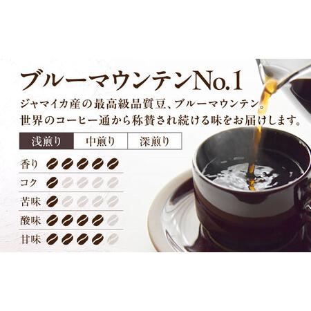 ふるさと納税 【全6回定期便】ブルーマウンテン NO.1 コーヒー ( 浅煎り ) 《豊前市》【稲垣珈琲】 珈琲 コーヒー 豆 粉 [VAS150] 福岡県豊前市の画像
