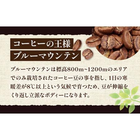 ふるさと納税 【全12回定期便】ブルーマウンテン NO.1 ブレンド コーヒー ( 浅煎り )《豊前市》【稲垣珈琲】 珈琲 コーヒー 豆 粉 [VAS169] 福岡県豊前市の画像