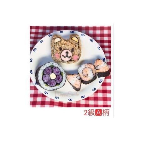 ふるさと納税 デコ巻きずし デコ巻きずし 2級資格取得レッスン ランチ付き 大阪府河内長野市 ふるさと納税サイト ふるなび