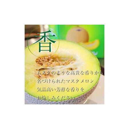 ふるさと納税 【12ヶ月定期便】クラウンメロン並（白等級）小玉（1.1kg前後）3玉入り  静岡県浜松市の画像
