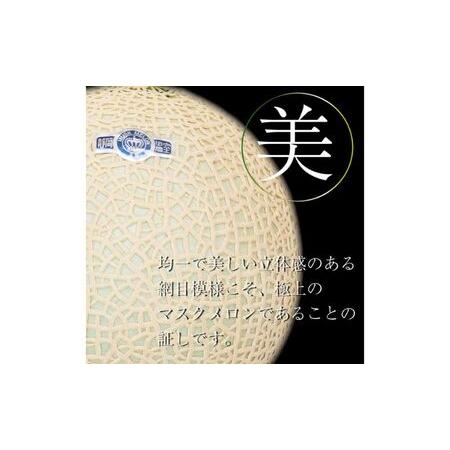 ふるさと納税 【6ヶ月定期便】クラウンメロン【並（白等級）】小玉（1.1kg前後）6玉入り  静岡県浜松市の画像