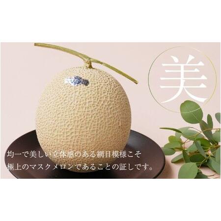 ふるさと納税 【6ヶ月定期便】クラウンメロン【並（白等級）】特大玉（1.5kg前後）3玉入り  静岡県浜松市の画像