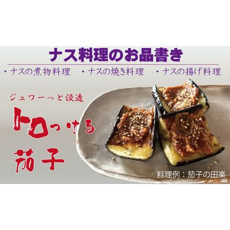 ふるさと納税 小城市産 筑陽ナス （2.5kg）朝採れ 新鮮 ハウス栽培 茄子 なす A060-004 佐賀県小城市｜furunavi｜03