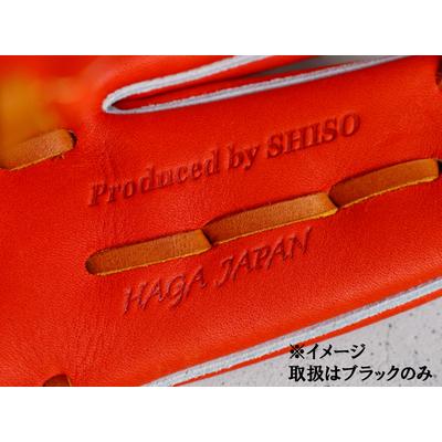 ふるさと納税 AO62 ミズノプロ 硬式用 宍粟牛グラブ 内野手用 坂本勇人
