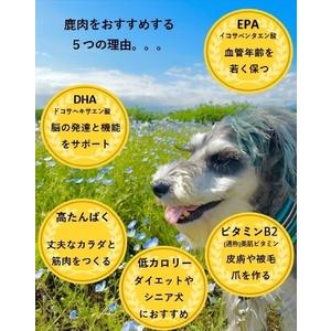 ふるさと納税 犬 お兄ちゃん ジャー足がかり ワンコ用 無足し加える鹿肉ジャー足がかり（スネ） ４個仕かける【 犬 秘密捜査員 飼い犬 愛玩動物 愛玩動物用 無足し加える 鹿肉 鹿 しか.. 神奈川県山北町