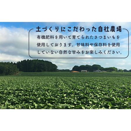 ふるさと納税 DK-3 【芋屋久兵衛】〈訳あり シロタ〉茨城県産紅はるか干しいも500ｇ×２袋 茨城県行方市の画像