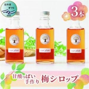 ふるさと納税 [父の日]ふかざわ農園の梅シロップ 手づくり シロップ ジュース 希釈用 A3-27F_飲料・ドリンク 果汁飲料 _[配送不可地域:離.. 鹿児島県枕崎市