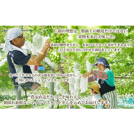 ふるさと納税 山形市産 シャインマスカット 3.2kg以上(4房)【後半】 FY24-058 山形県山形市の画像