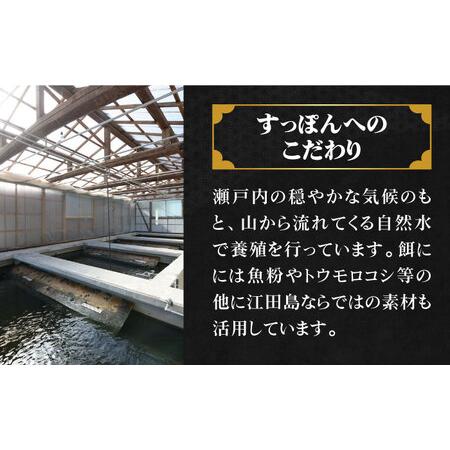 ふるさと納税 【全3回】すっぽん剥き身400g すっぽん[XAC006] 広島県江田島市