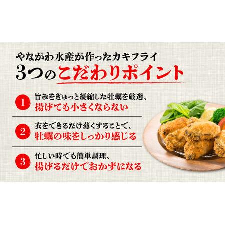 ふるさと納税 【全3回】牡蠣 冷凍カキフライ40個 牡蠣[XBL018] 広島県江田島市の画像
