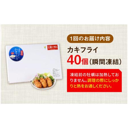 ふるさと納税 【全3回】牡蠣 冷凍カキフライ40個 牡蠣[XBL018] 広島県江田島市の画像