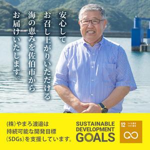 ふるさと納税 ＜定期便・全6回 (隔月)＞訳あり 干物大満足BOX (240尾以上)定期便 簡単 調理 干物 あじ かます さば いわし みりん干し 丸干し 開.. 大分県佐伯市の画像