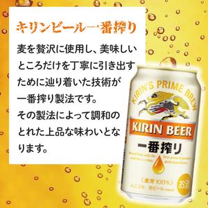 ふるさと納税 キリンビール取手工場産 キリン一番搾り 350ml缶-24本×2 