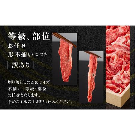 ふるさと納税 《定期便》全6回 飛騨牛 切り落とし 500g 訳あり 飛騨牛 [S713] 岐阜県白川村