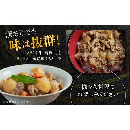 ふるさと納税 《定期便》全6回 飛騨牛 切り落とし 500g 訳あり 飛騨牛 [S713] 岐阜県白川村