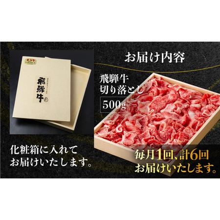ふるさと納税 《定期便》全6回 飛騨牛 切り落とし 500g 訳あり 飛騨牛 [S713] 岐阜県白川村