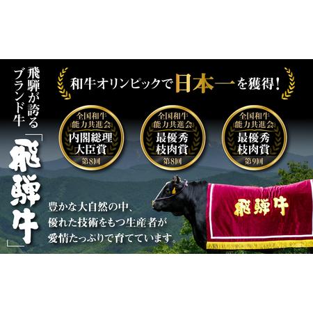 ふるさと納税 《定期便》全6回 飛騨牛 切り落とし 500g 訳あり 飛騨牛 [S713] 岐阜県白川村