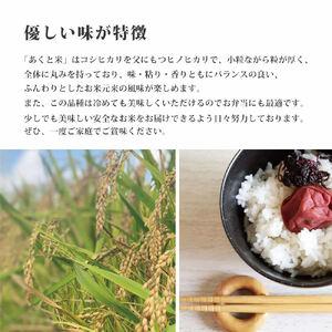 ふるさと納税 お米 令和7年産 アクト米 ヒノヒカリ 白米 10kg [ 米 