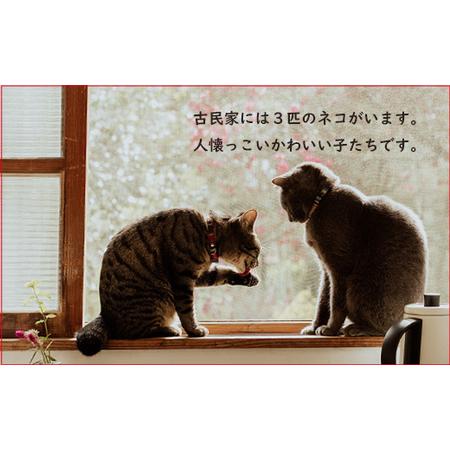 ふるさと納税 《かわいい猫が住まう古民家民泊》農家民泊Sano Farm1泊2食付宿泊券(2名様分) [宿泊チケット 体験チケット 施設利用券] 特番640 宮崎県高原町｜furunavi｜03