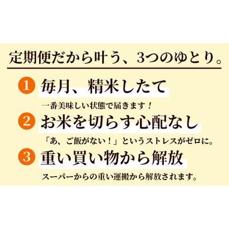 ふるさと納税 【定期便3回】 丹波美人 白米 10kg（5kg×2）×3回 | 米 お米 こしひかり 白米 精米 京都府綾部市_3