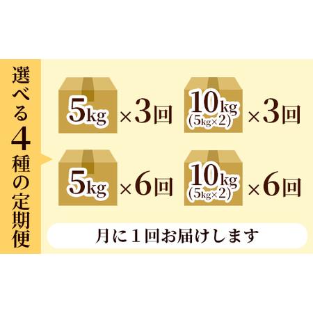 ふるさと納税 【定期便3回】 丹波美人 白米 10kg（5kg×2）×3回 | 米 お米 こしひかり 白米 精米 京都府綾部市_4