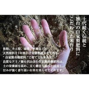 ふるさと納税 ≪ 令和7年産 ≫【 定期便 】 2kg ×6ヶ月 最高金賞受賞 南魚沼産コシヒカリ 雪と技 農薬8割減・化学肥料不使用栽培 新潟県の画像
