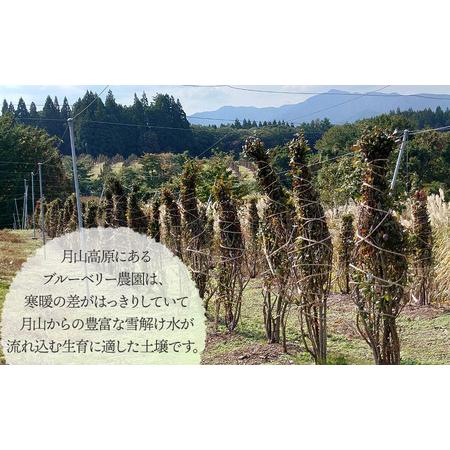 ふるさと納税 【令和6年産 先行予約】にこにこふぁーむの朝採り生詰めブルーベリー100g×6パック　K-639 山形県鶴岡市｜furunavi｜02