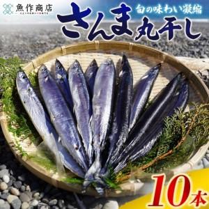 ふるさと納税 干物 さんま丸干し 10本 干物[uosk0015A] 三重県熊野市