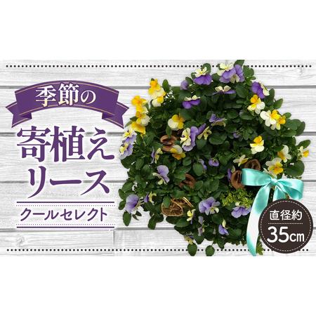 ふるさと納税 AH-3 クールセレクト*花工房すなが* 埼玉県鴻巣市