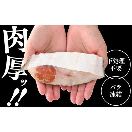 ふるさと納税 越前産 カレイ 切り身 計2kg（1kg × 2袋） バラ凍結 最短5営業日以内発送！使い勝手抜群 カレイ ！福井県網元漁師が厳選 カレ.. 福井県越前町｜furunavi｜03