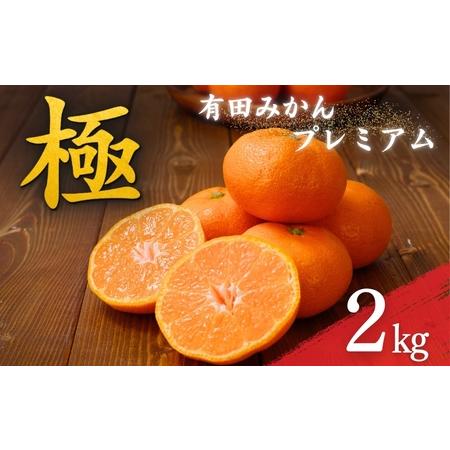 ふるさと納税 みかん 有田みかんプレミアム 約2kg [nuk154G] 和歌山県串本町