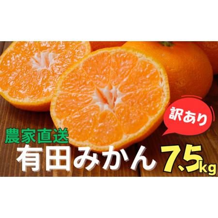 ふるさと納税 [訳あり]農家直送 有田みかん 約8kg ご家庭用 サイズ混合 ※2024年11月中旬から2025年1月中旬までに順次発送予定(お届け日指.. 和歌山県太地町