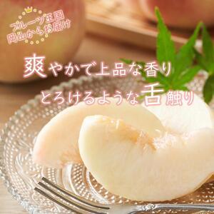ふるさと納税 2026年 先行予約 岡山県産  白 桃   エース 約1kg（4〜6玉）｜ 桃 岡山県岡山市の画像