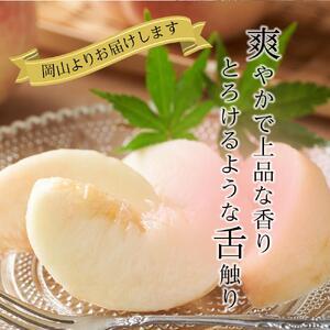 ふるさと納税 2026年 先行予約 岡山県産   白 桃   ロイヤル 3玉×約200g 計600g Lサイズ ｜ 桃 岡山県岡山市の画像