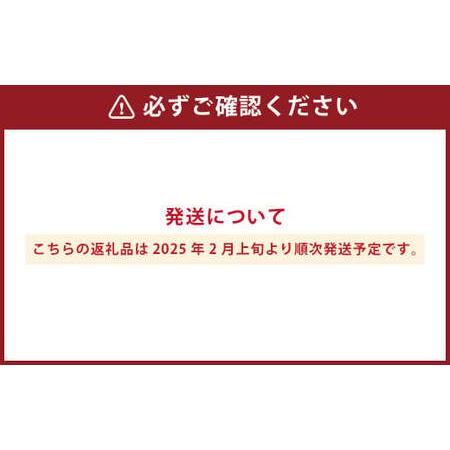 ふるさと納税 熊本県産いちご 恋みのり2キロ(8パック) 【2025年2月上旬発送開始】 熊本県｜furunavi｜02