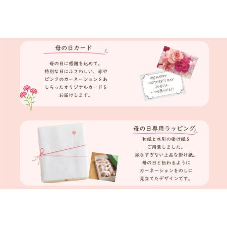ふるさと納税 【母の日】『ありがとうどら焼き』10個入 本格和菓子（VYD）B-932 山梨県甲州市の画像