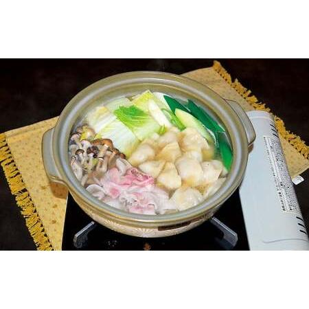 ふるさと納税 餃子の王国 ひと口 生水餃子 計120個 260g(20個)×6袋 熊本県熊本市の画像