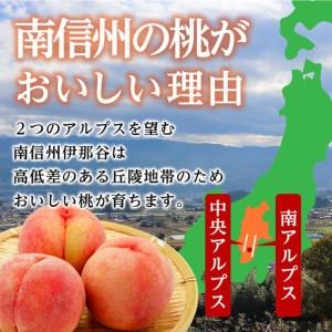 ふるさと納税 【南信州産】あかつき約5kg（秀品）光センサー選別品＜2026年7月中旬より発送＞ 長野県高森町の画像