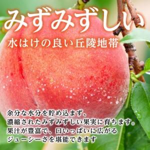ふるさと納税 【南信州産】あかつき約5kg（秀品）光センサー選別品＜2026年7月中旬より発送＞ 長野県高森町の画像