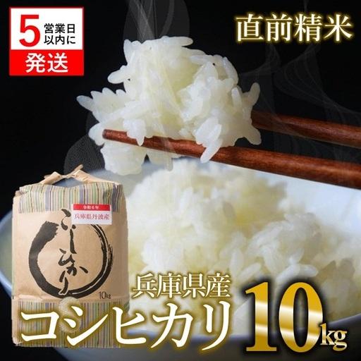 ふるさと納税 コシヒカリ 10kg 白米 令和7年産 精米 白米【スピード