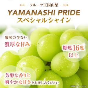 ふるさと納税 フルーツ王国山梨産厳選 シャインマスカット 1房(約500-600g)【配送不可地域：離島】【1501766】 山梨県山梨市