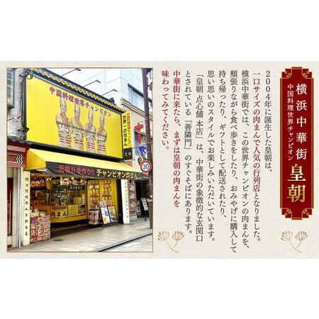 ふるさと納税 中華点心詰合せH（15種 計112個）＜横浜中華街 皇朝＞｜肉まん 豚角煮 シウマイ 小籠包 餃子 中華 中華料理 横浜中華街 人気中華.. 神奈川県横浜市_4