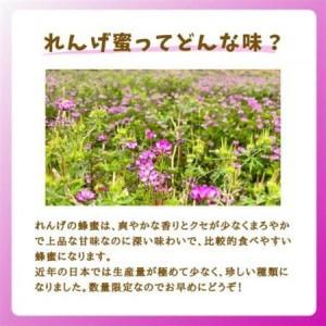 ふるさと納税 【5月〜6月発送】みつばちの雫 国産れんげ蜜 500g＋300g_調味料 はちみつ  ハチミツ 蜂蜜_【1496815】 福岡県大牟田市の画像
