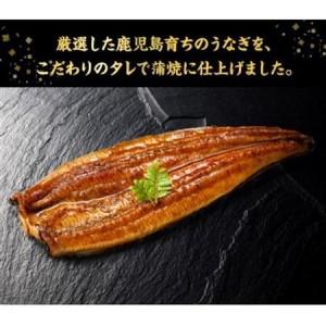 ふるさと納税 きざみうなぎ5袋と長蒲焼3尾セット【配送不可地域：離島】【1185860】 鹿児島県南九州市_2