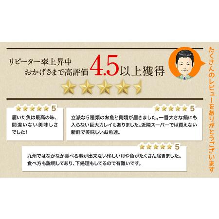 ふるさと納税 【2024年8月下旬発送】【緊急支援品】わけあり 北海道のおさかな屋さんの まかないセット 冷凍魚貝 最大約4.4kg 事業者支援 中国禁.. 北海道鹿部町｜furunavi｜02