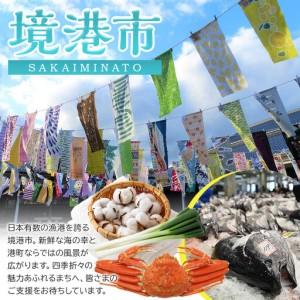 ふるさと納税 ＜定期便3回＞天然水奥大山(500ml×24本入り×3か月・計72本) 鳥取県境港市_2